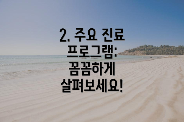 2. 주요 진료 프로그램: 꼼꼼하게 살펴보세요!