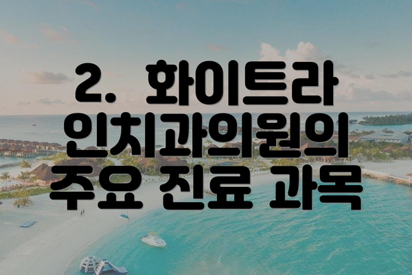 2.  화이트라인치과의원의 주요 진료 과목