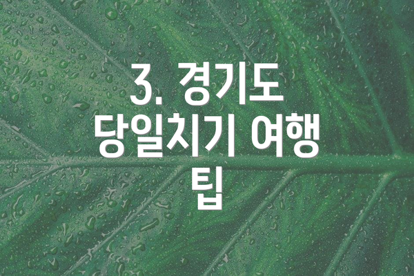 3. 경기도 당일치기 여행 팁