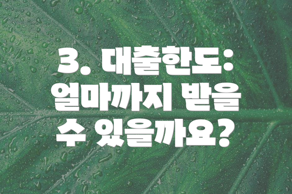 3. 대출한도: 얼마까지 받을 수 있을까요?