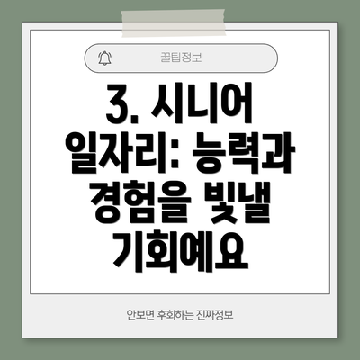 3. 시니어 일자리: 능력과 경험을 빛낼 기회예요
