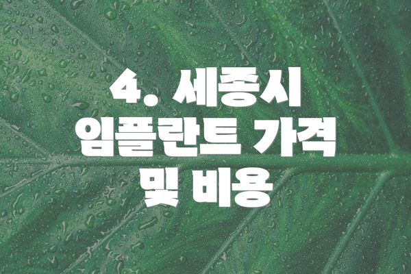 4. 세종시 임플란트 가격 및 비용