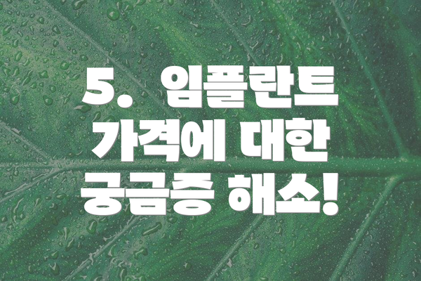 5.  임플란트 가격에 대한 궁금증 해소!