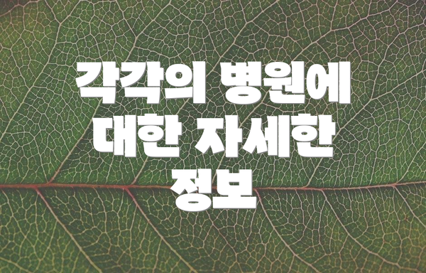 각각의 병원에 대한 자세한 정보
