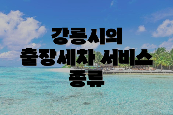 강릉시의 출장세차 서비스 종류
