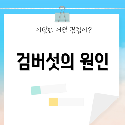 검버섯의 원인