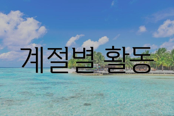계절별 활동