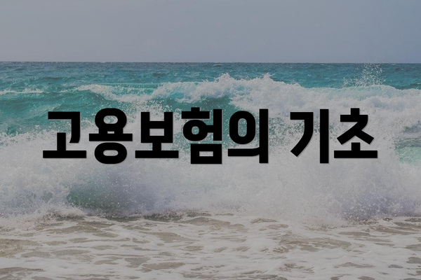 고용보험의 기초