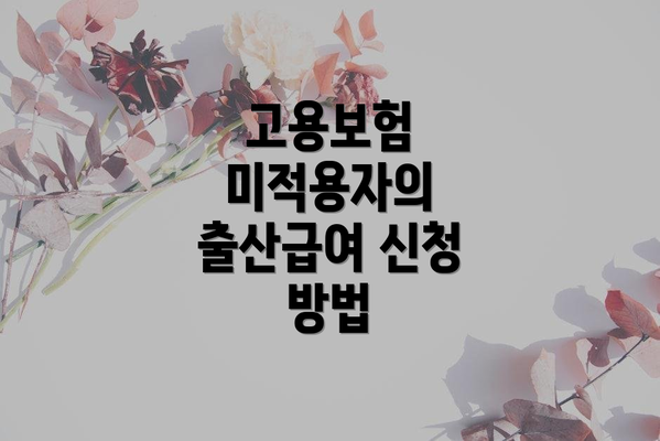 고용보험 미적용자의 출산급여 신청 방법