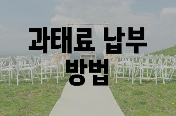 과태료 납부 방법