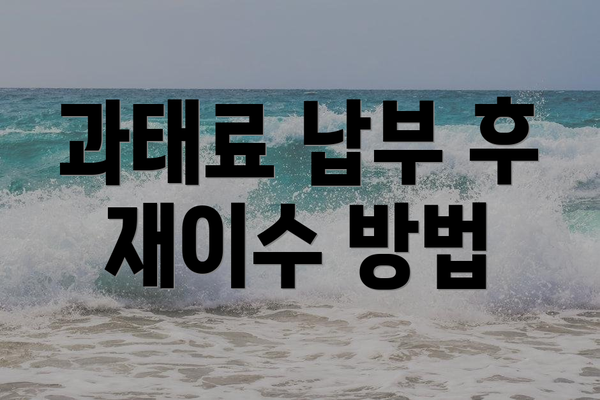 과태료 납부 후 재이수 방법