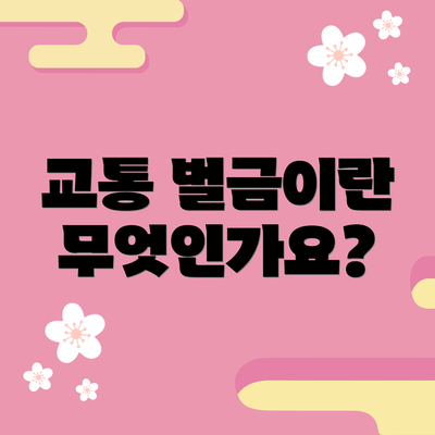 교통 벌금이란 무엇인가요?