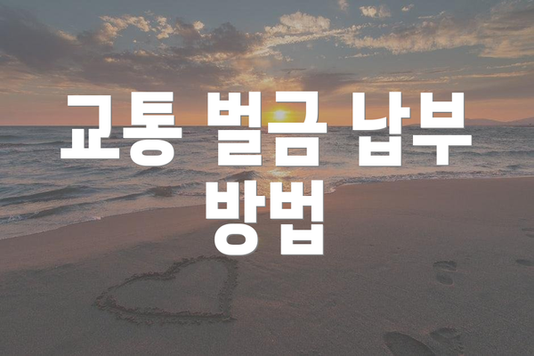 교통 벌금 납부 방법