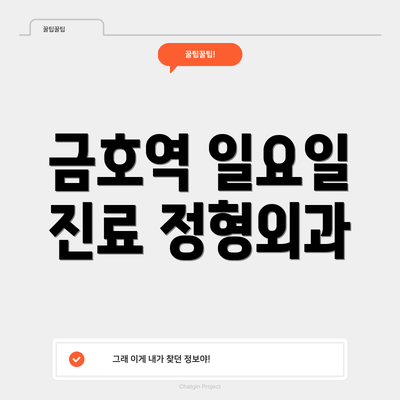 금호역 일요일 진료 정형외과