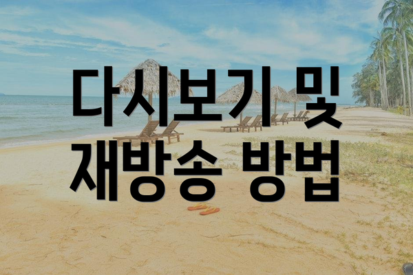 다시보기 및 재방송 방법