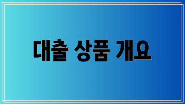대출 상품 개요