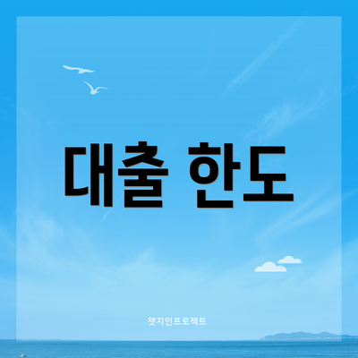 대출 한도
