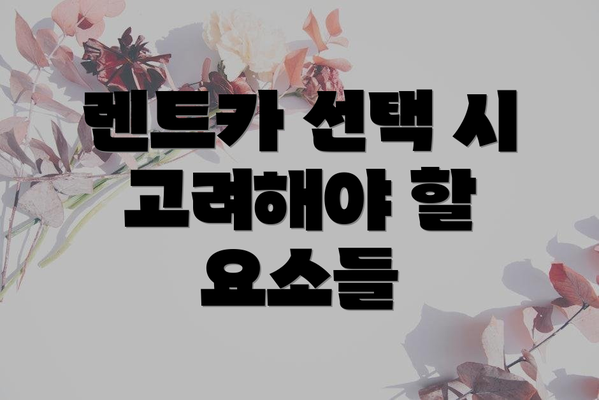 렌트카 선택 시 고려해야 할 요소들