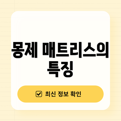몽제 매트리스의 특징