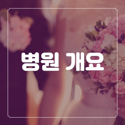 병원 개요