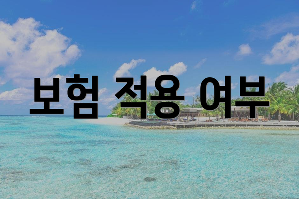 보험 적용 여부