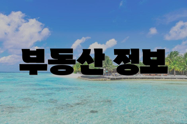 부동산 정보