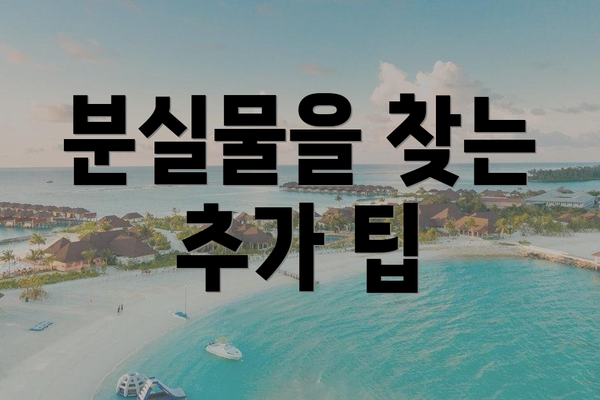 분실물을 찾는 추가 팁