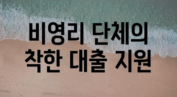 비영리 단체의 착한 대출 지원