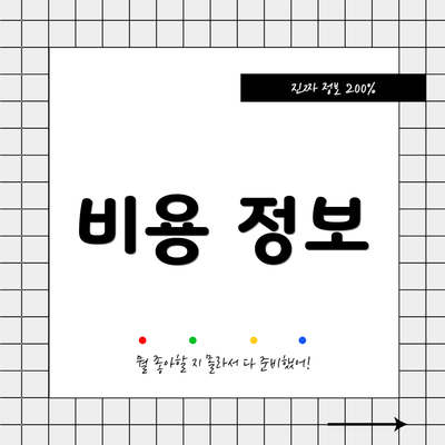 비용 정보