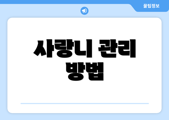 사랑니 관리 방법