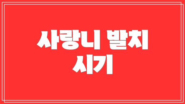 사랑니 발치 시기