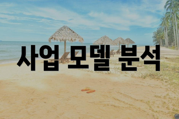 사업 모델 분석