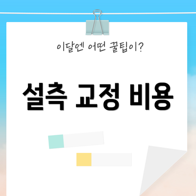 설측 교정 비용
