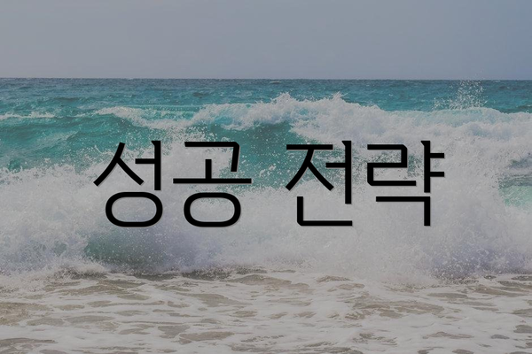 성공 전략
