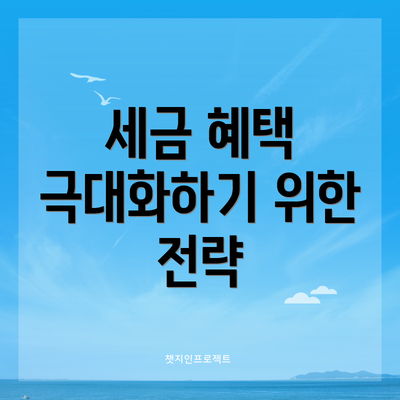 세금 혜택 극대화하기 위한 전략