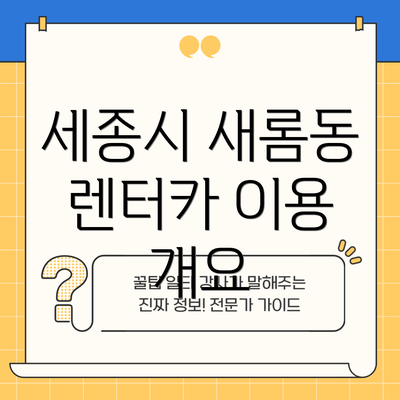 세종시 새롬동 렌터카 이용 개요