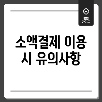 소액결제 이용 시 유의사항
