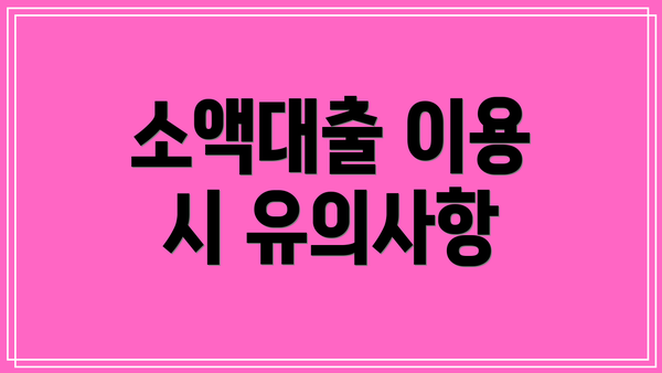 소액대출 이용 시 유의사항