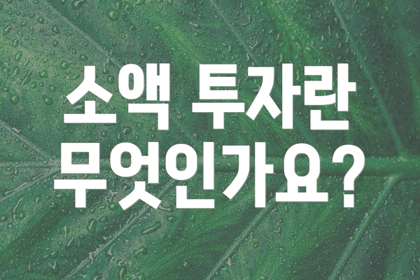 소액 투자란 무엇인가요?