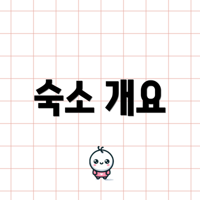 숙소 개요