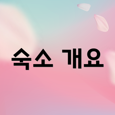 숙소 개요