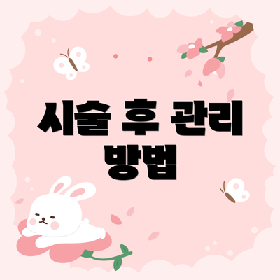 시술 후 관리 방법