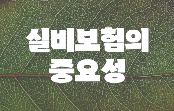 실비보험의 중요성