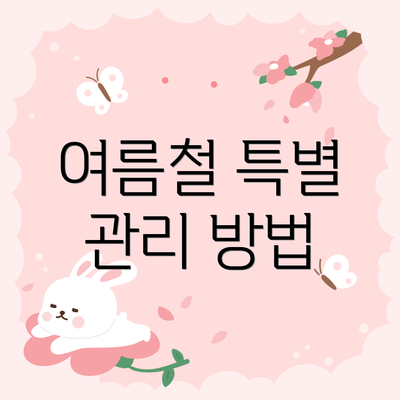 여름철 특별 관리 방법