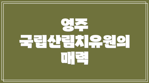 영주 국립산림치유원의 매력