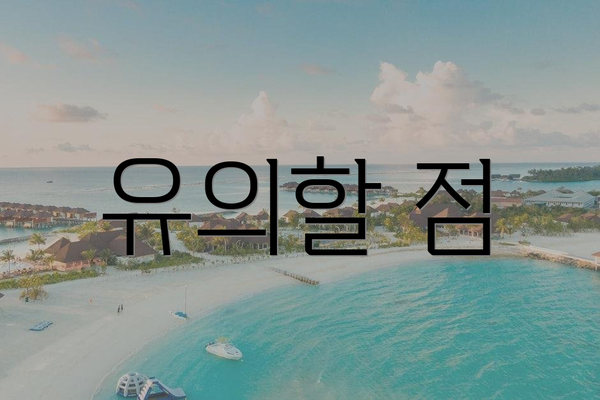 유의할 점