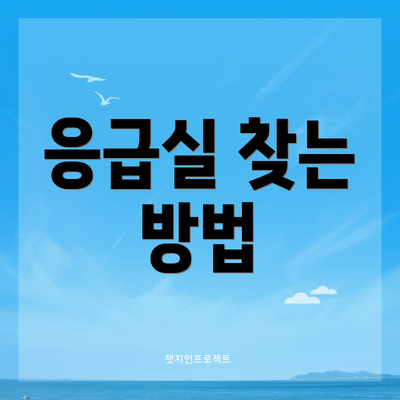 응급실 찾는 방법