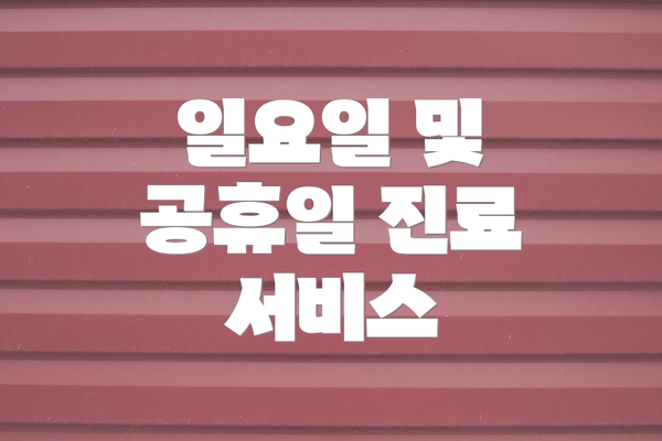 일요일 및 공휴일 진료 서비스
