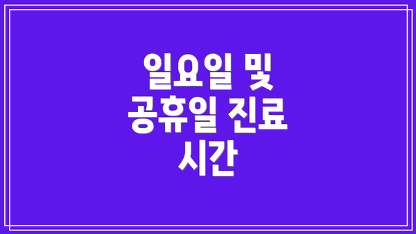 일요일 및 공휴일 진료 시간