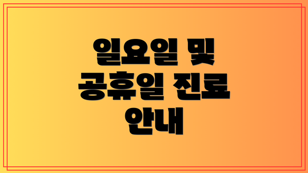 일요일 및 공휴일 진료 안내